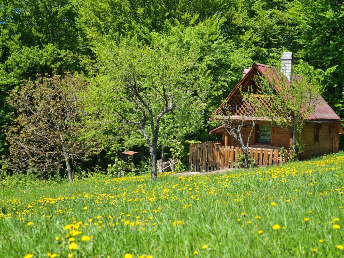 Трембіта Rachiw Exterior foto